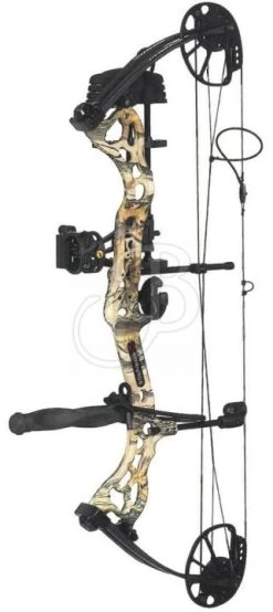 Bear Arc Karnage Dynamic