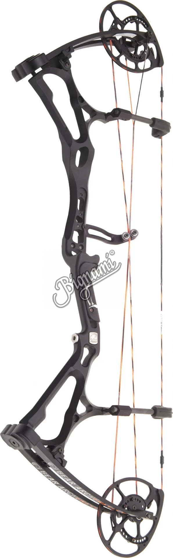 Bear 14 Motive 7 Shadow