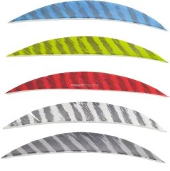 Gateway Plumes Naturelles Barrées 5.5"